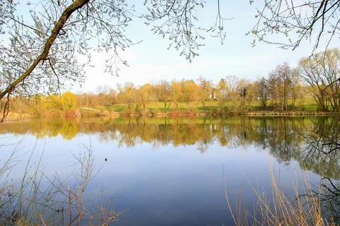 Spring Landscape at the Lake with Reflections Stock Photos