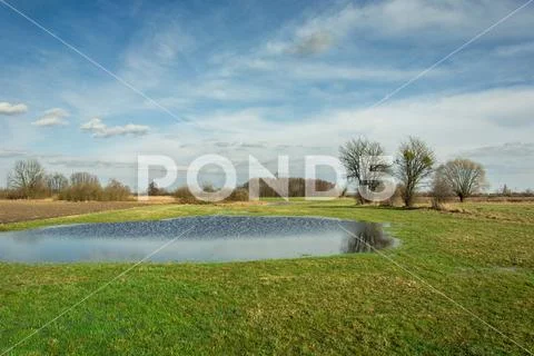 Spring landscape of a meadow, water after rain and blue sky Stock Photos
