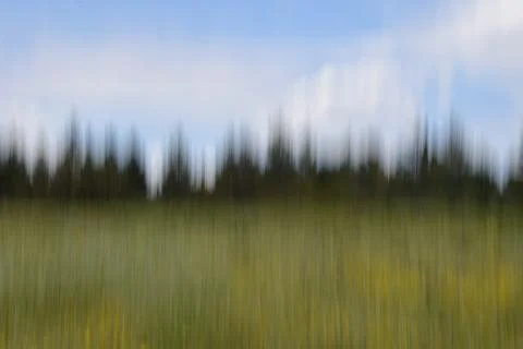 Spring landscape motion blur Foto stock