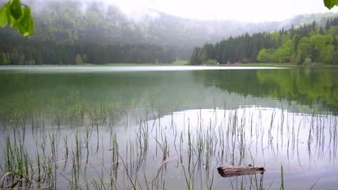 Spring landscape of a mountain lake in the forest. Tree crashed in mountain lake Stock Footage 150593059