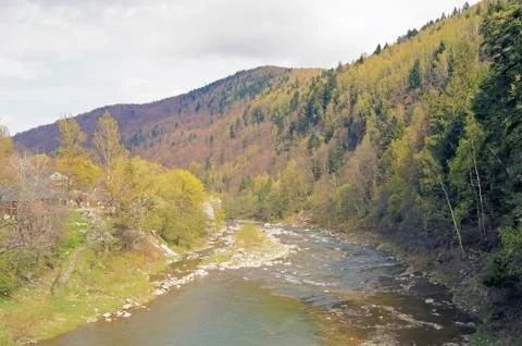 Spring landscape mountain river with trees, rocks and water. Stock Photos