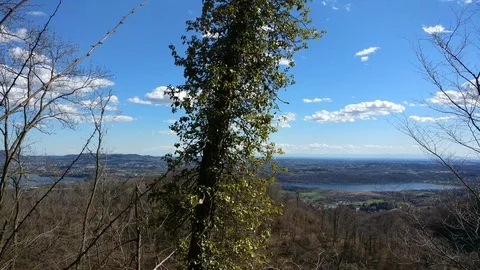 Spring landscape in a mountainous area Stock Footage 91297576