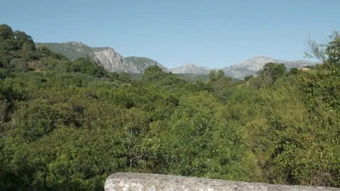 Spring landscape of mountains and trees with strong wind 库存影片 137264118