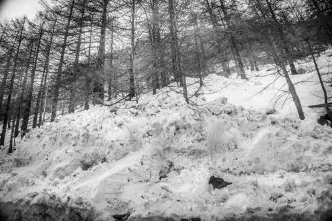 Spring landscape in the mountains in black and white with snow. Bad weather Stock Photos