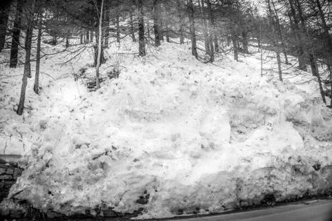 Spring landscape in the mountains in black and white with snow. Bad weather Stock Photos