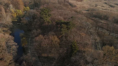 Spring landscape over the park Stock Footage 104614591