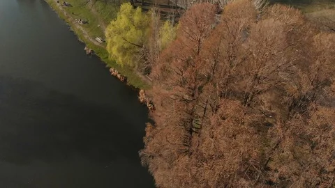 Spring landscape over the park Stock Footage 104615305