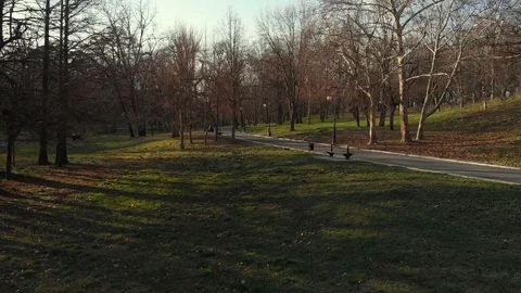 Spring landscape over the park Stock Footage 104619192