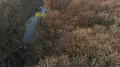 Spring landscape over the park Stock Footage 104619196