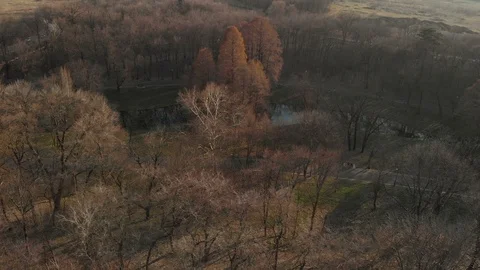 Spring landscape over the park Stock Footage 104619200