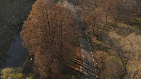 Spring landscape over the park Stock Footage 104619202