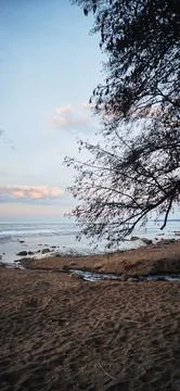 Spring landscape. Panoramic view of beautiful dawn on bay. Cumulus clouds o.. Stock Photos