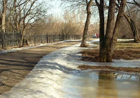 Spring landscape in the Park Stock Photos
