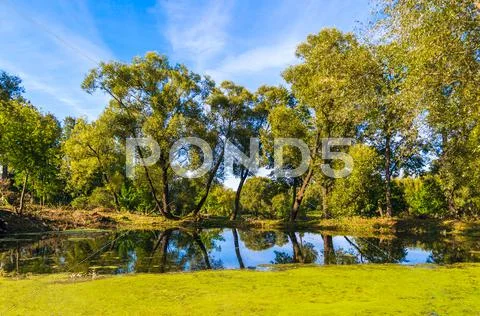 Spring landscape Stock Photos