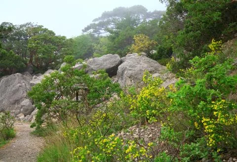Spring landscape Stock Photos