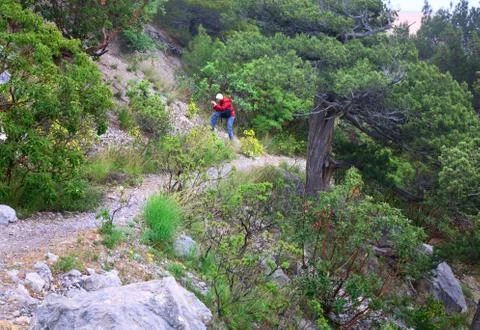 Spring landscape Stock Photos