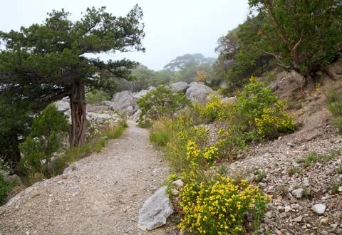 Spring landscape Stock Photos