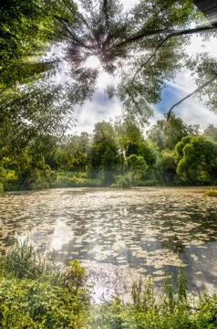 Spring landscape Foto stock