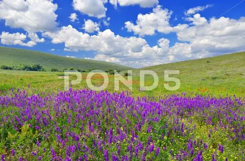 Spring landscape Stock Photos