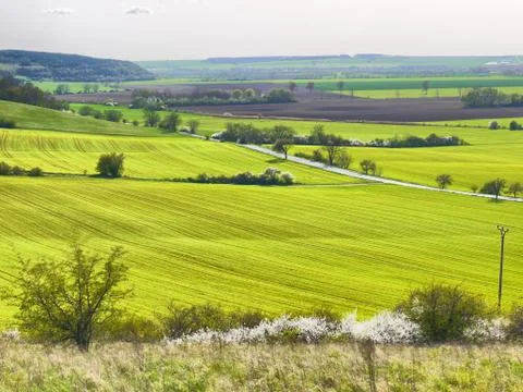 Spring landscape Stock Photos
