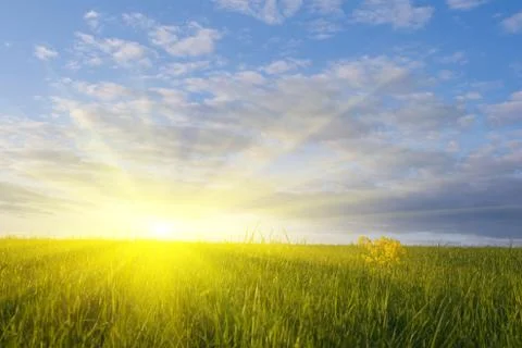 Spring landscape Stock Photos