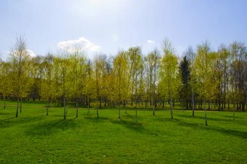 Spring landscape Stock Photos