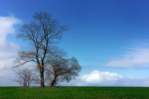 Spring landscape Stock Photos