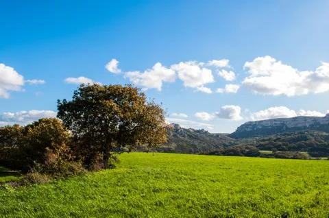 Spring landscape Stock Photos