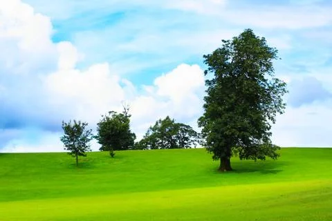 Spring landscape Stock Photos