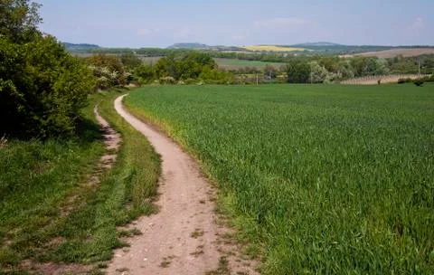 Spring landscape Stock Photos