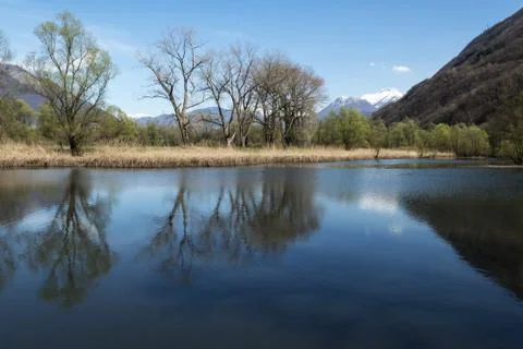 Spring landscape Stock Photos