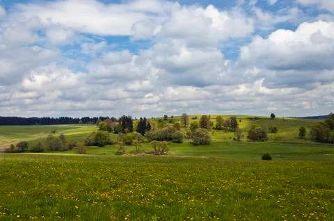 Spring landscape Stock Photos