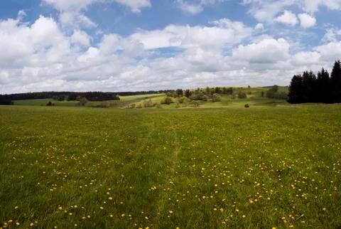 Spring landscape Stock Photos
