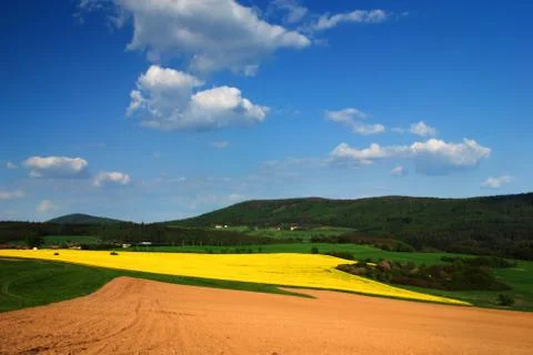 Spring landscape Foto stock