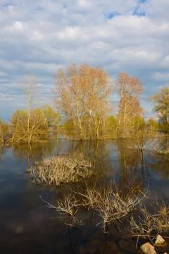 Spring landscape Stock Photos
