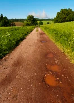 Spring landscape Foto stock