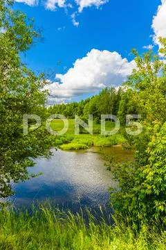 Spring landscape Stock Photos