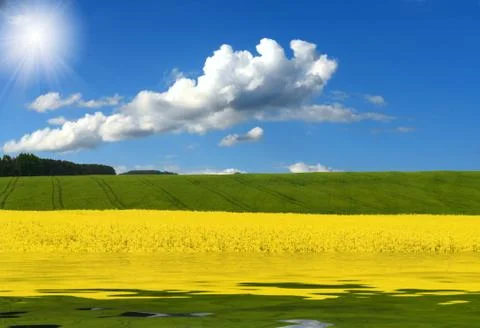 Spring landscape Stock Photos