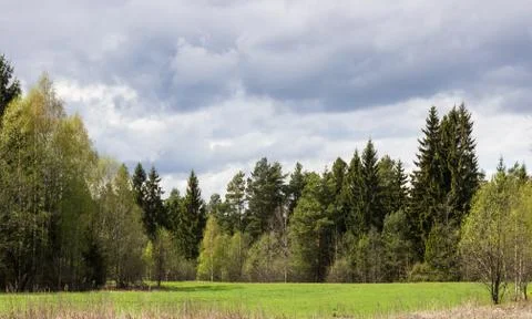 Spring landscape Stock Photos