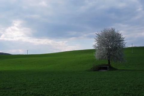 Spring landscape Stock Photos