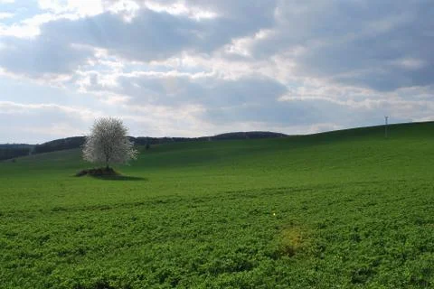 Spring landscape Foto stock