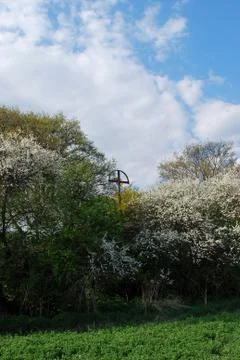 Spring landscape Stock Photos