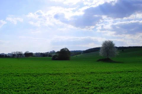 Spring landscape Stock Photos