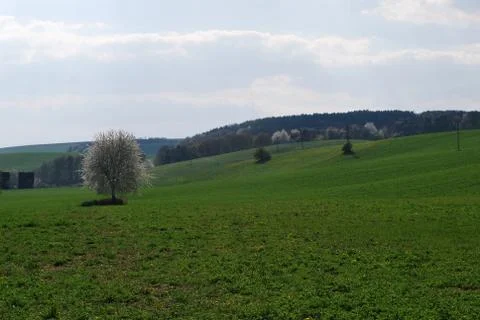 Spring landscape Stock Photos