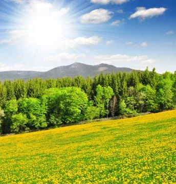 Spring landscape Stock Photos