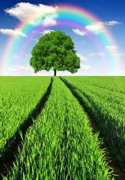 Spring landscape Foto stock