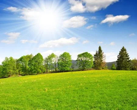 Spring landscape Stock Photos