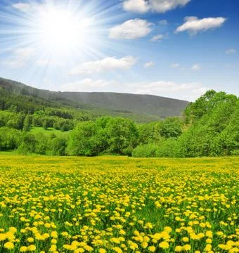 Spring landscape Foto stock