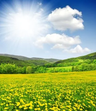 Spring landscape Stock Photos