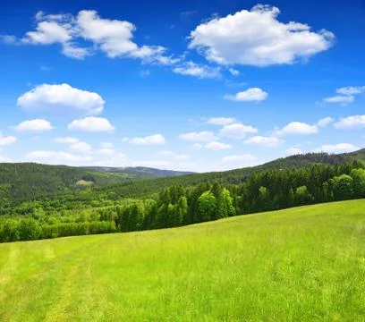 Spring landscape Stock Photos